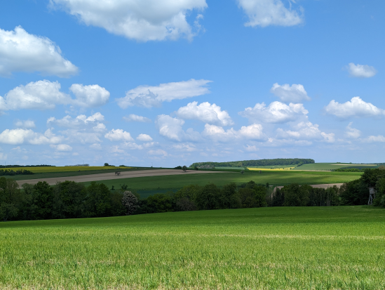 Paradiesgartenweg, Hornbach
13. Mai 2023